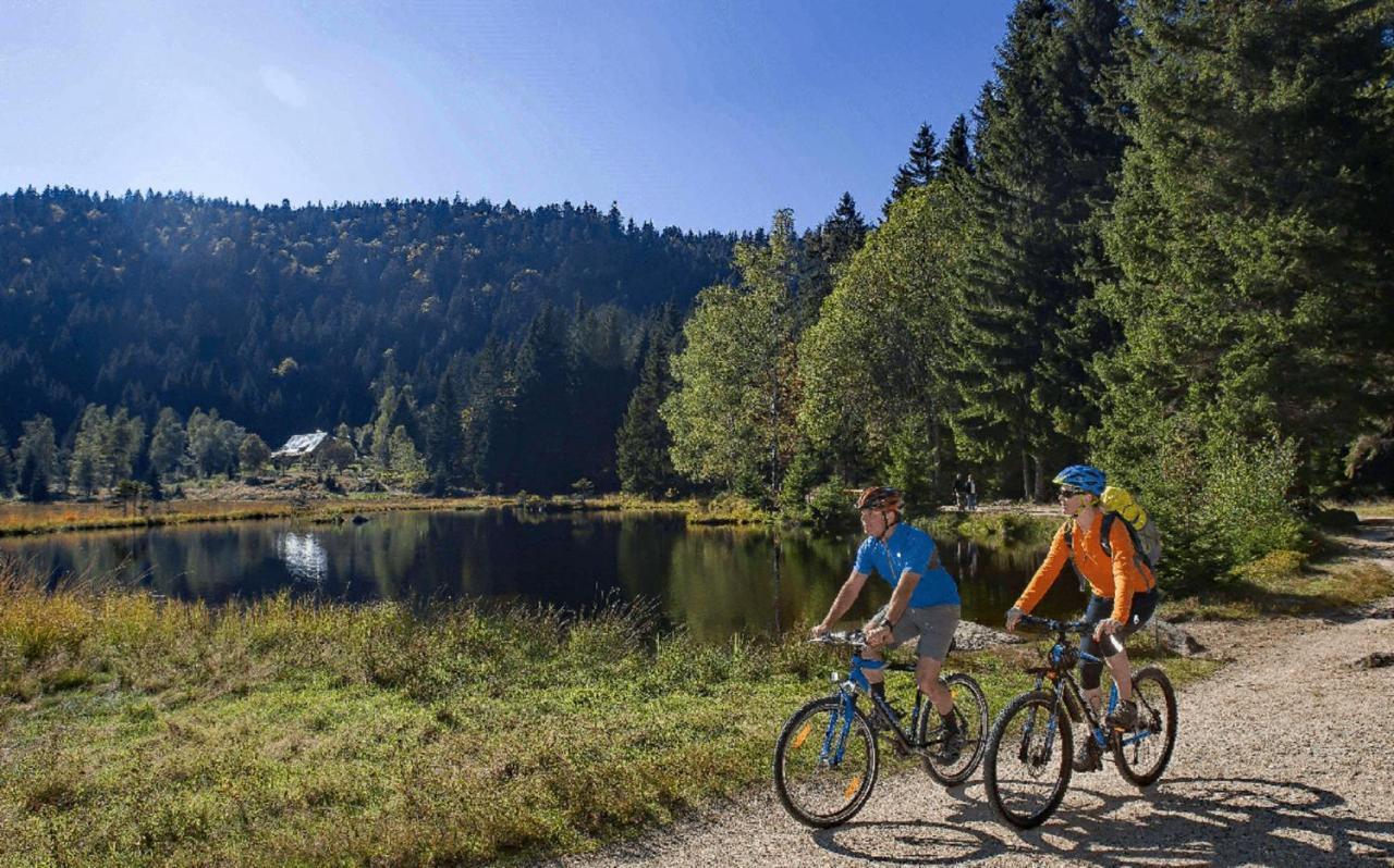 Bayerische Gastwirtschaft Dimpfl-stadl 3* Лам